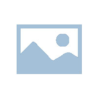 “凝聚雷州半岛情、融入湾区大发展”2023年春茗活动